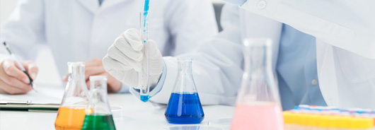 选择星空体育的理由